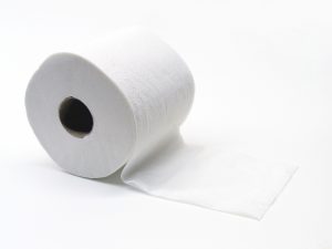 A close up of a roll of toilet paper
