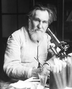A man in a laboratory