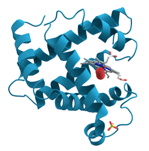 A close up of a logo
