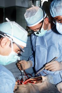 A surgeon performing a surgery