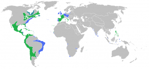 A close up of a map